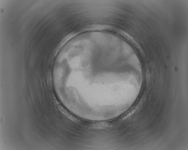 X0000078291417200612011758