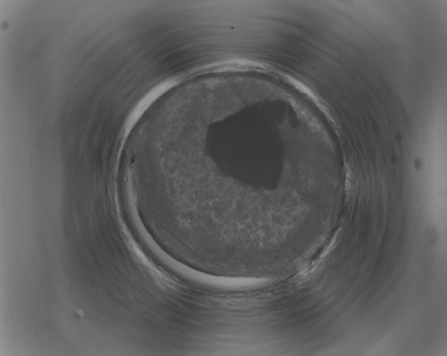 X0000078291418200612011758