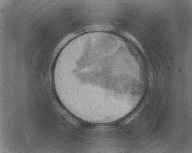 X0000078291419200612011758