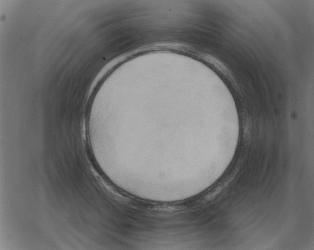 X0000078291420200612011758