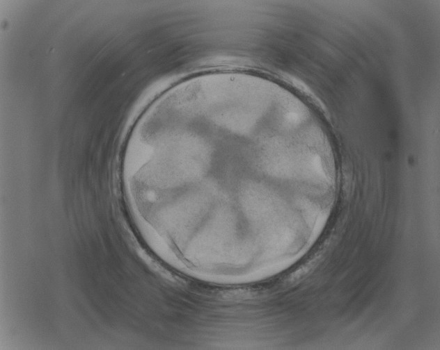 X0000078291421200612011758