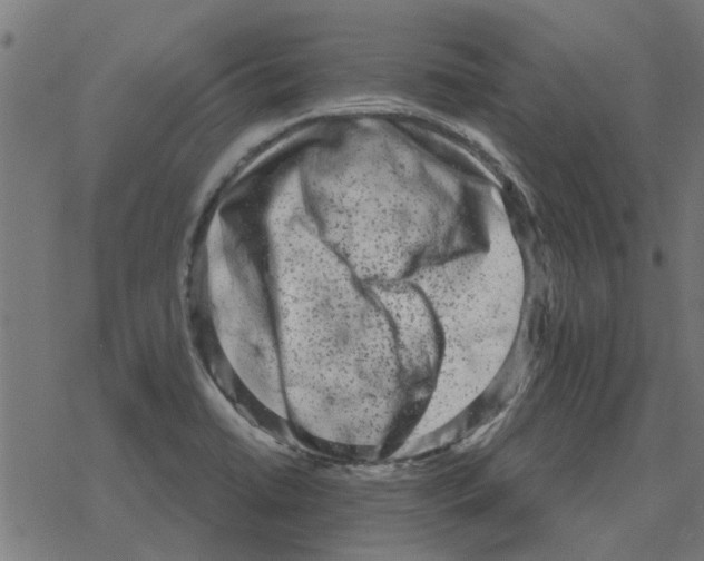 X0000078291422200612011758