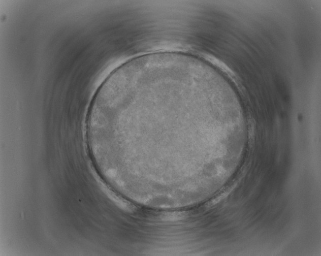 X0000078291423200612011758