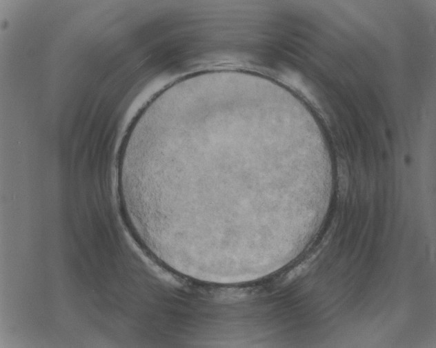 X0000078291424200612011758