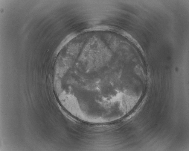 X0000078291425200612011758