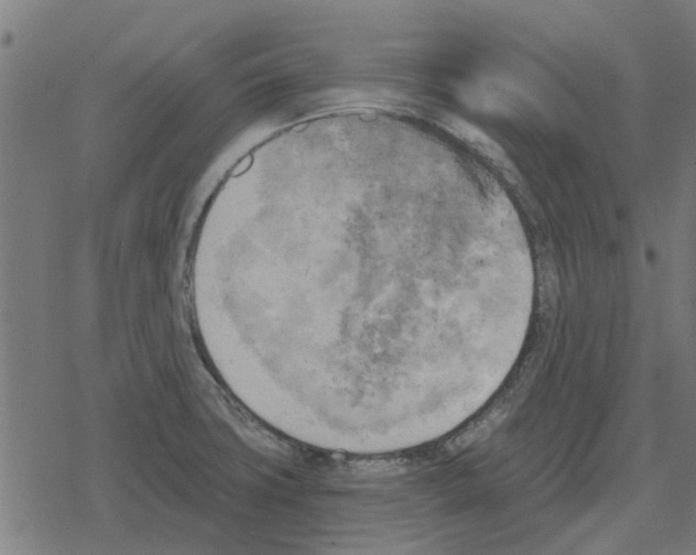 X0000078291427200612011758