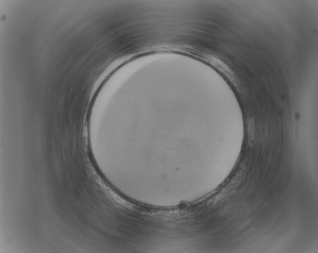 X0000078291428200612011758