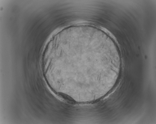 X0000078291429200612011758