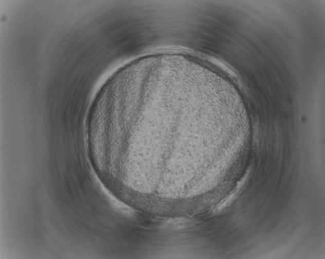 X0000078291430200612011758