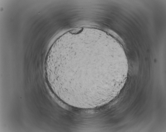 X0000078291431200612011758