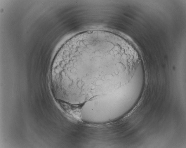 X0000078291432200612011758