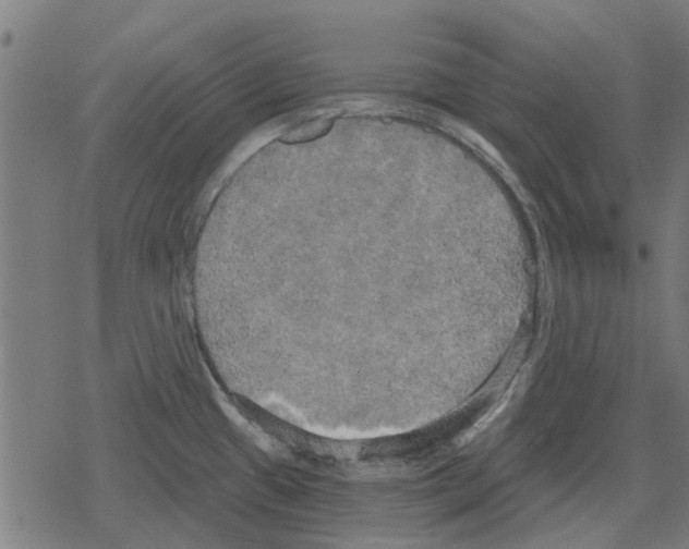 X0000078291433200612011758