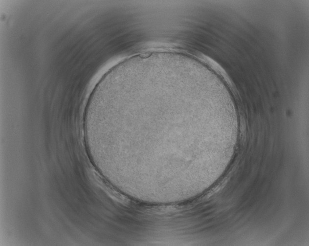 X0000078291435200612011758