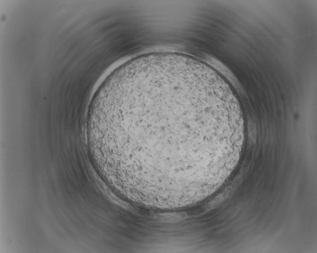 X0000078291436200612011758