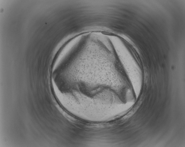 X0000078291438200612011758