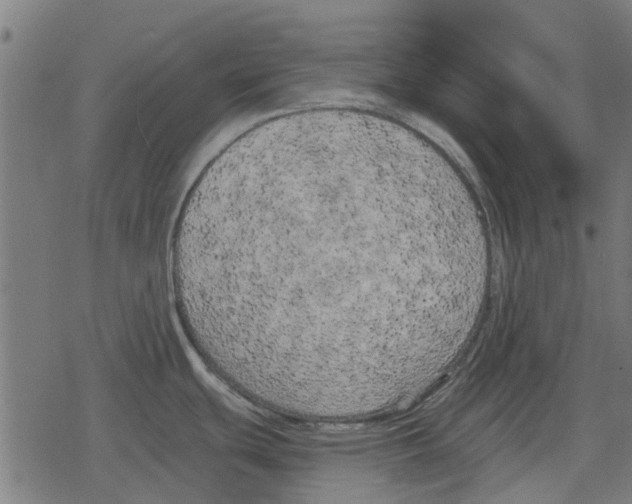 X0000078291439200612011758