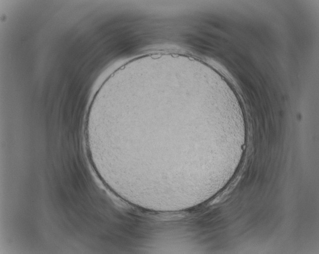 X0000078291440200612011758