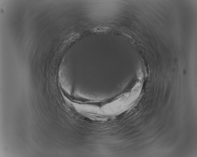 X0000078291441200612011757