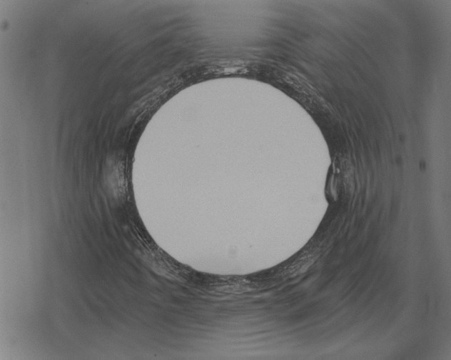 X0000078291442200612011757