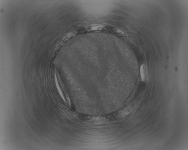 X0000078291443200612011757