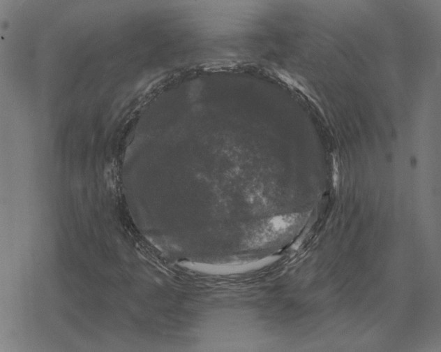 X0000078291445200612011757