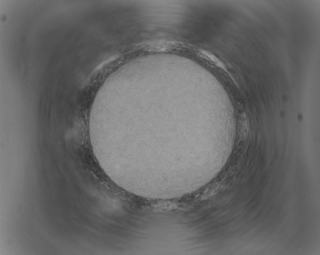 X0000078291446200612011757