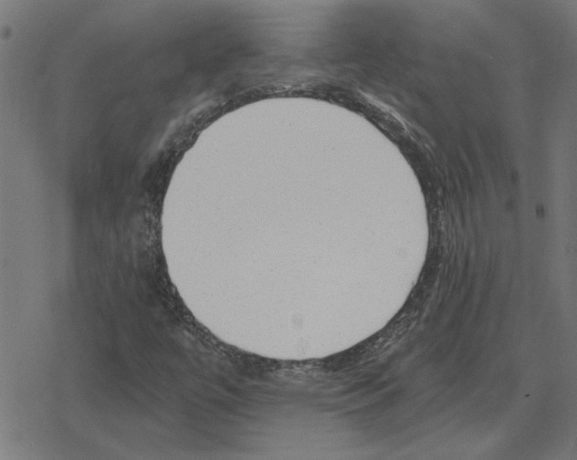 X0000078291447200612011757