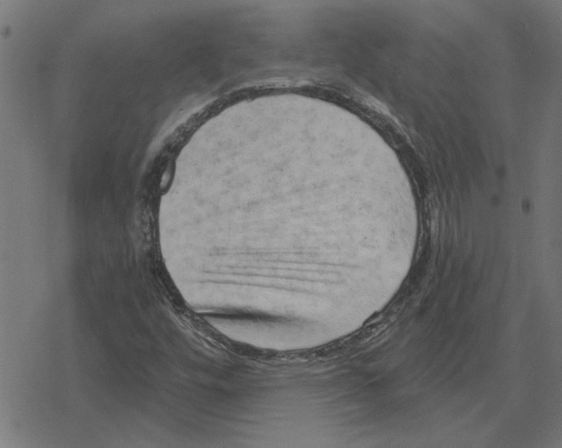 X0000078291448200612011757