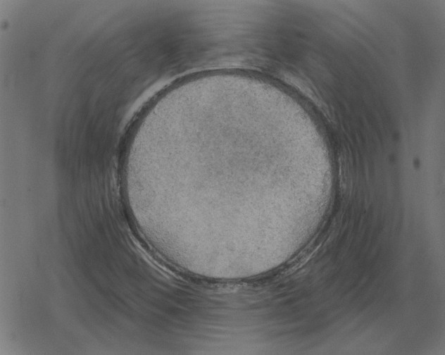 X0000078291452200612011757