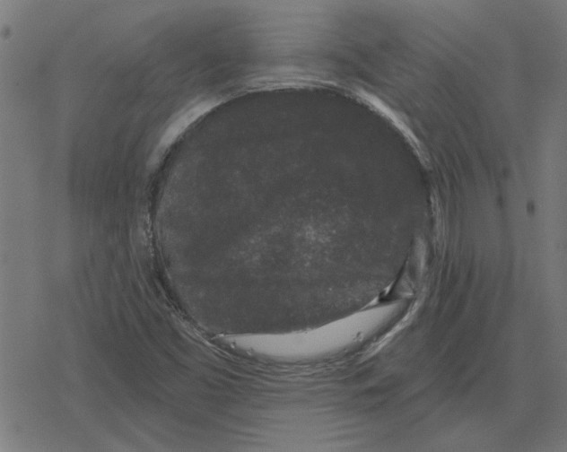 X0000078291453200612011757