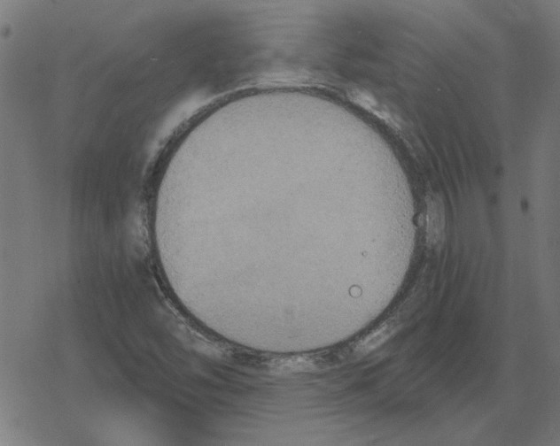 X0000078291454200612011757