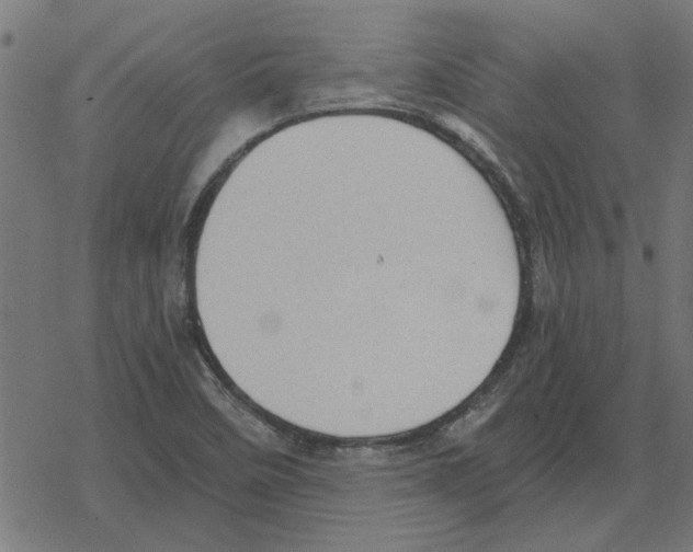 X0000078291458200612011757