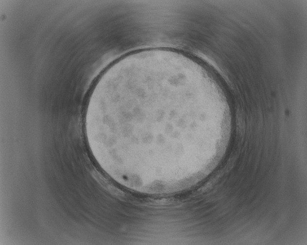 X0000078291460200612011757