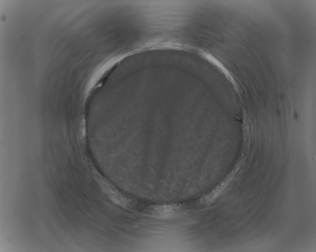 X0000078291461200612011757