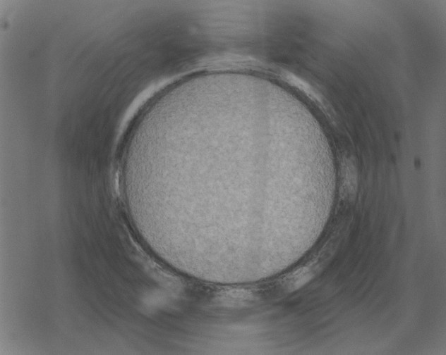 X0000078291462200612011757