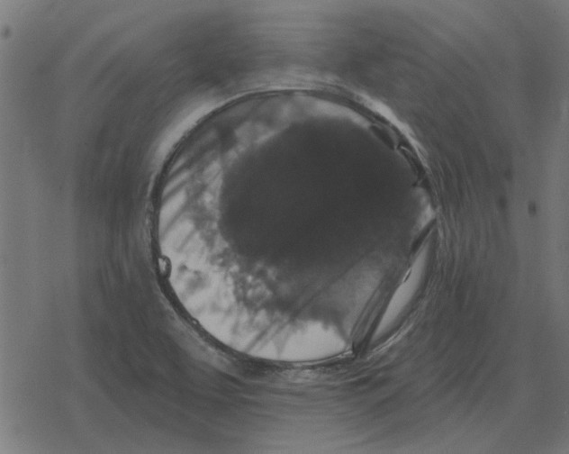 X0000078291463200612011757