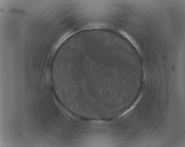 X0000078291465200612011757