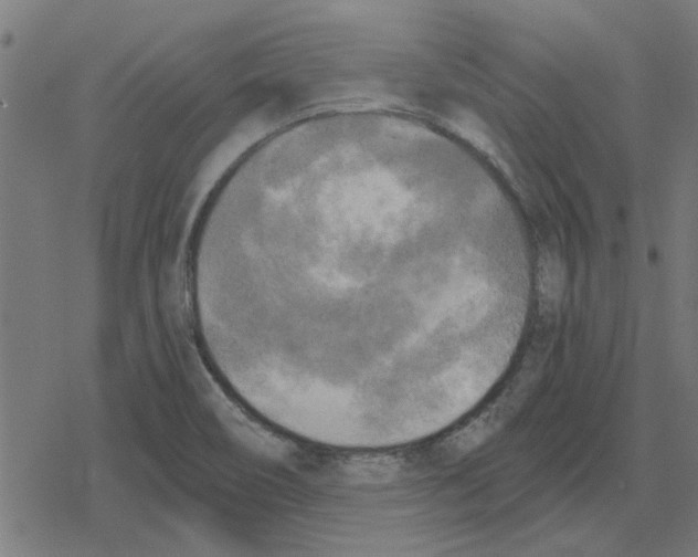 X0000078291466200612011757