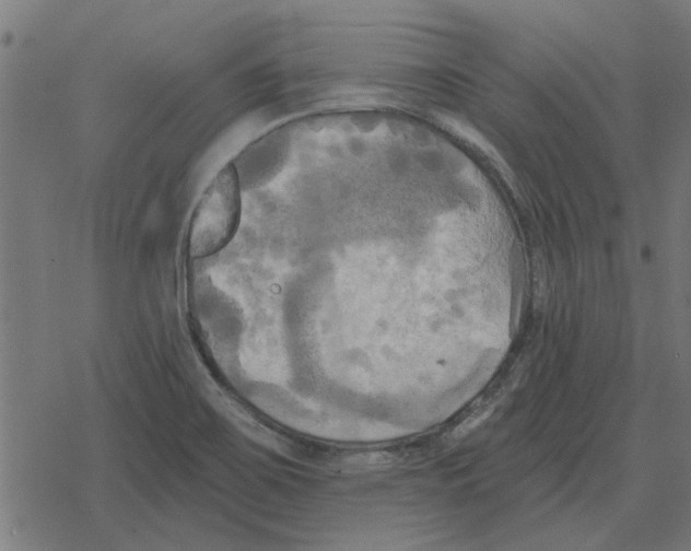 X0000078291467200612011757