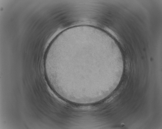 X0000078291468200612011757