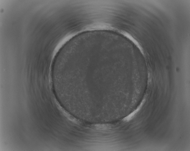 X0000078291469200612011757