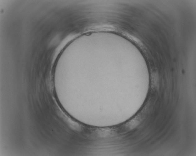 X0000078291470200612011757