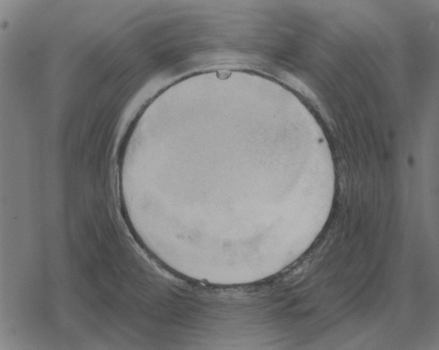 X0000078291472200612011757