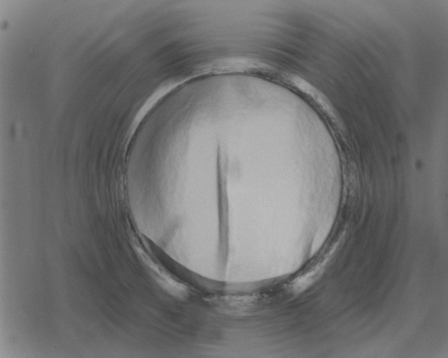 X0000078291473200612011757