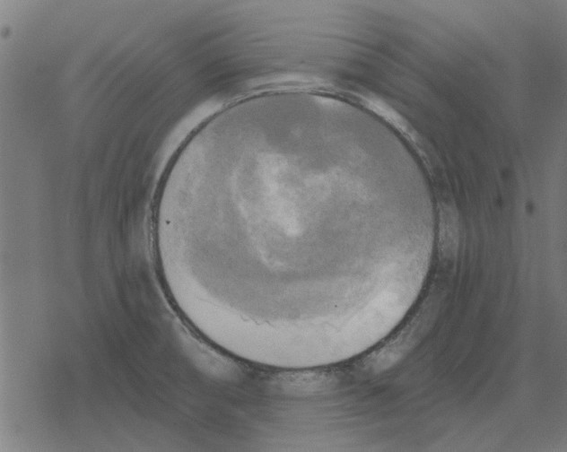 X0000078291474200612011757