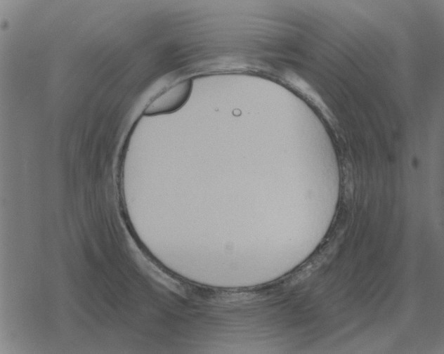 X0000078291475200612011757