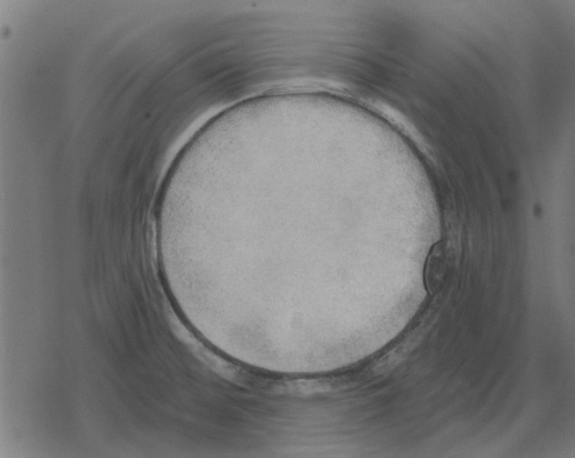 X0000078291476200612011757