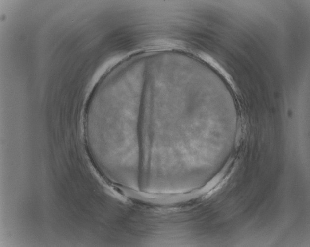 X0000078291477200612011757