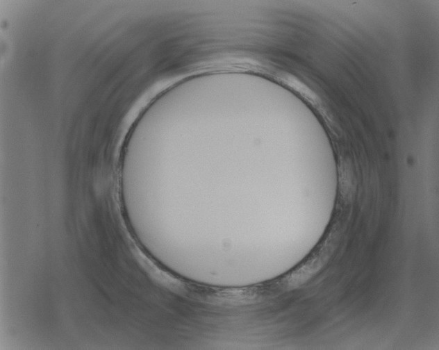 X0000078291478200612011757