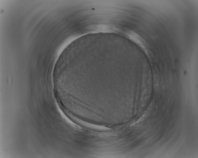 X0000078291479200612011757